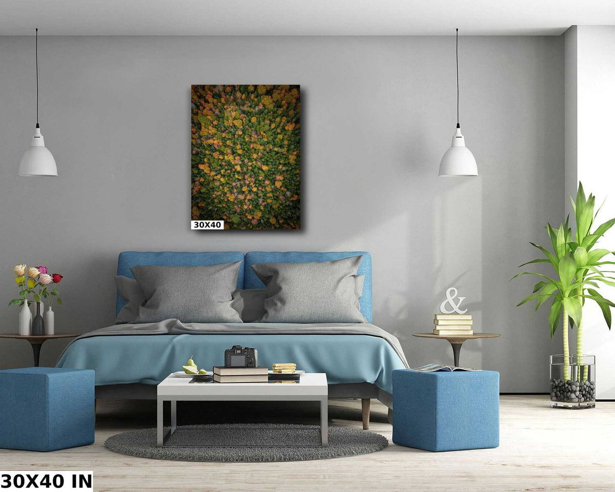 New Hampshire Fall Landscape wall art featuring dense aerial forest foliage in green, orange, and gold autumn colors