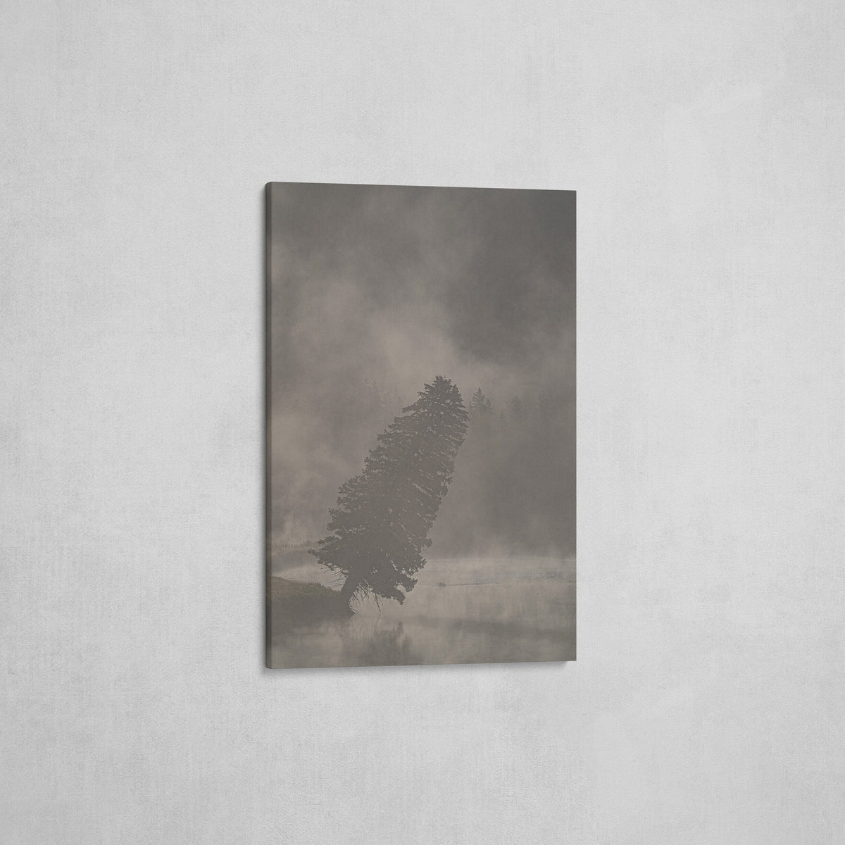 Yellowstone National Park Print, Leaning Tree Foggy Wyoming Wall Art