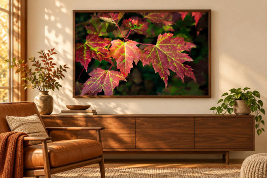 Red Maple Leaf Print, New England Fall Photography Wall Art Decor