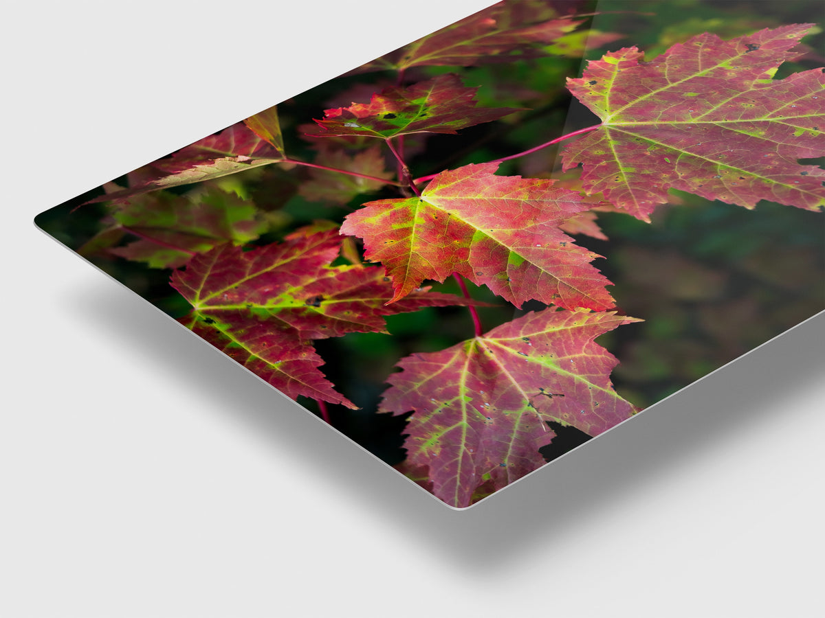 Red Maple Leaf Print, New England Fall Photography Wall Art Decor