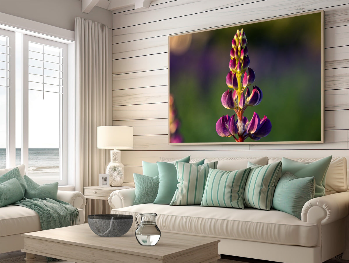 Lupine Photography Print, Sugar Hill NH Wildflower Wall Art