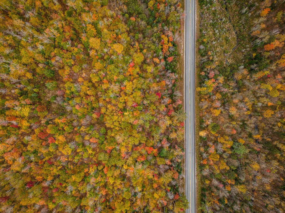White Mountains Fall Print, New Hampshire Autumn Wall Art, Decor