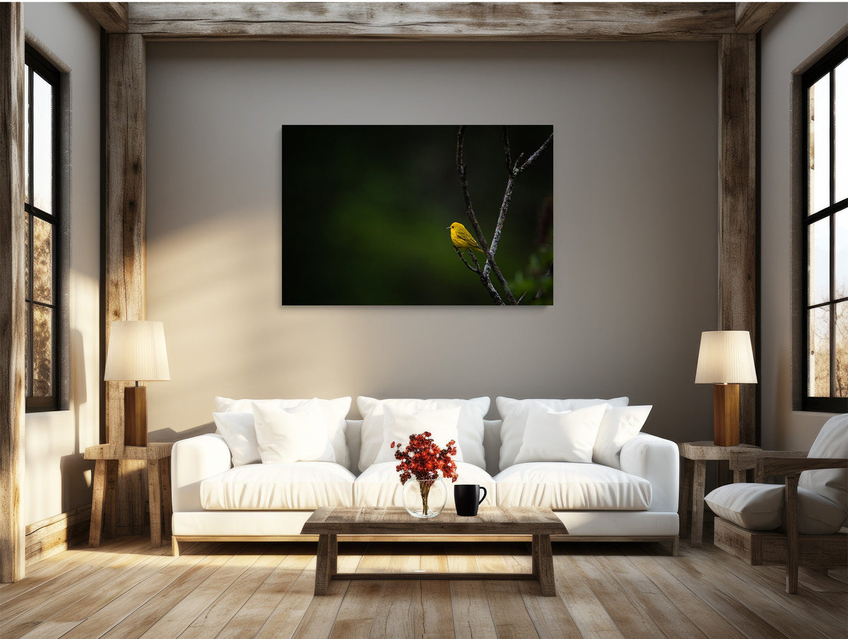 Yellow Warbler Print, Photography Wall Art, New England Bird Decor