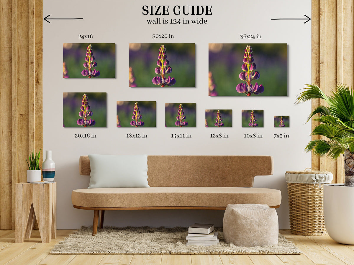 Lupine Photography Print, Sugar Hill NH Wildflower Wall Art