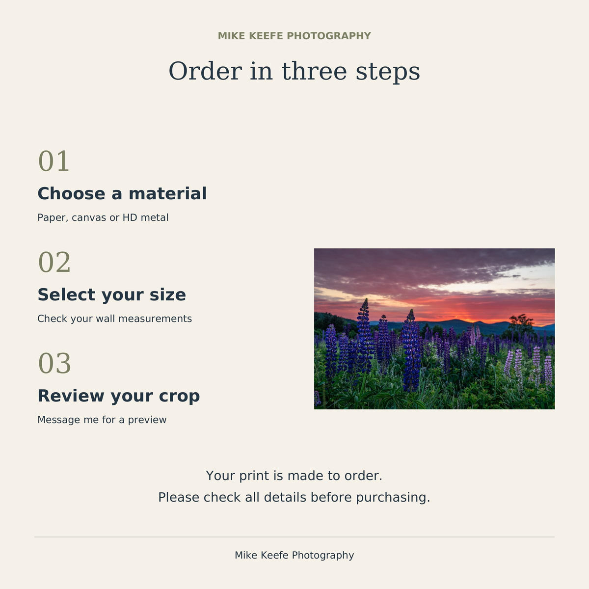 Sugar Hill Lupine Sunrise Photography Print, New Hampshire Wildflower Wall Art
