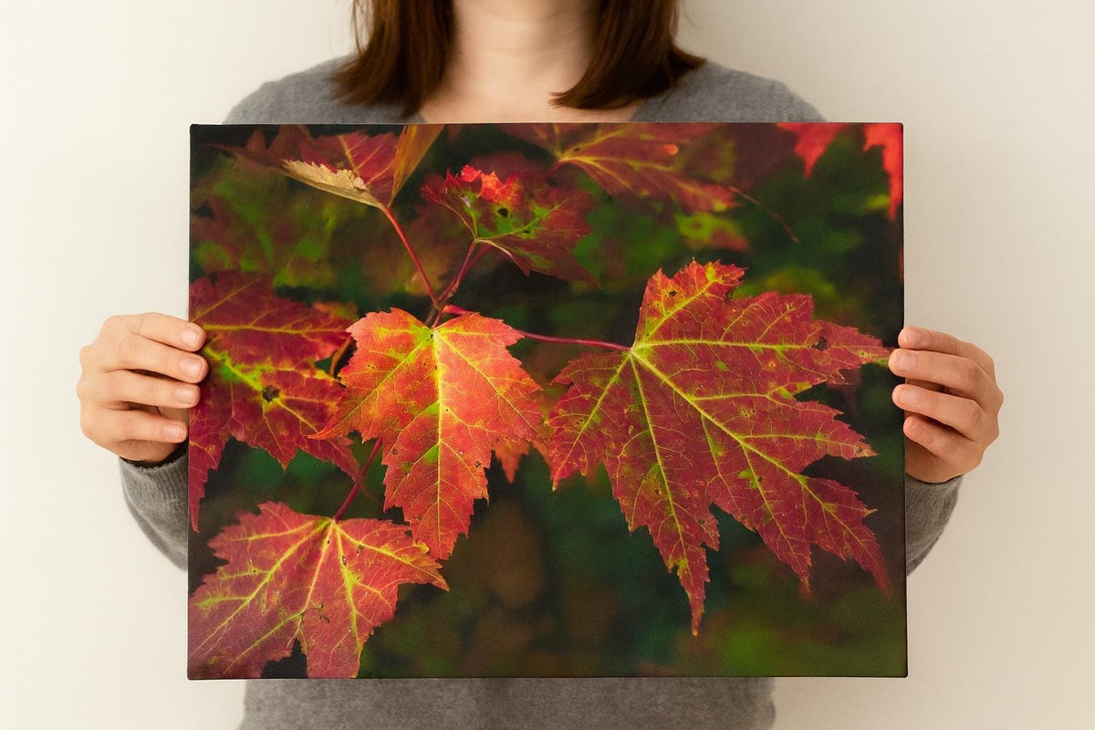 Red Maple Leaf Print, New England Fall Photography Wall Art Decor