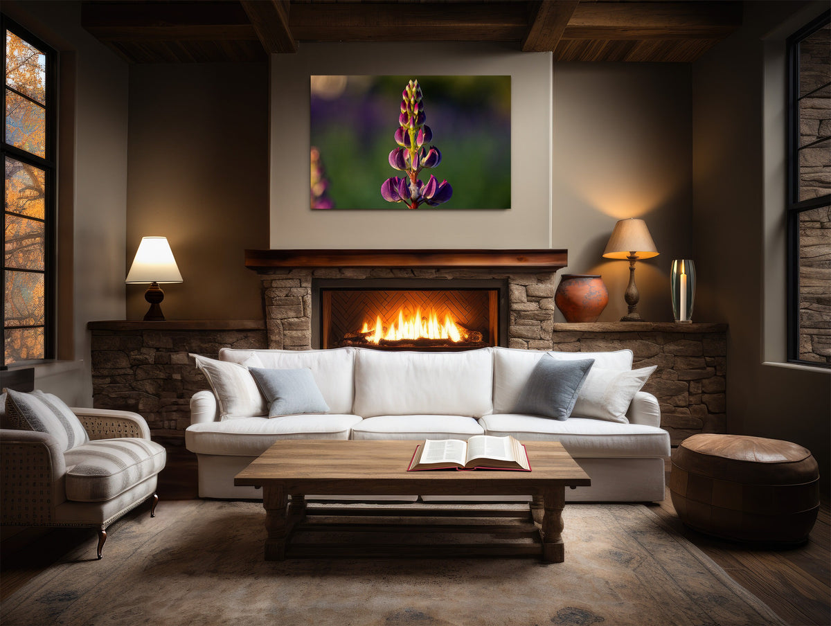 Lupine Photography Print, Sugar Hill NH Wildflower Wall Art