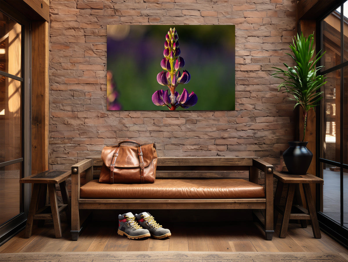 Lupine Photography Print, Sugar Hill NH Wildflower Wall Art