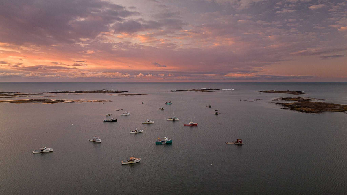 Maine Coastal Wall Art aerial harbor photograph with fishing boats on calm water beneath a pink and orange sunrise sky