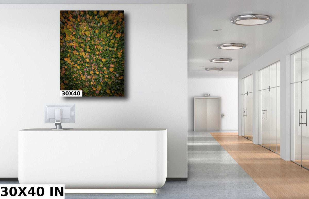 New Hampshire Fall Landscape canvas print with dense green, gold, orange, and red autumn foliage seen from above