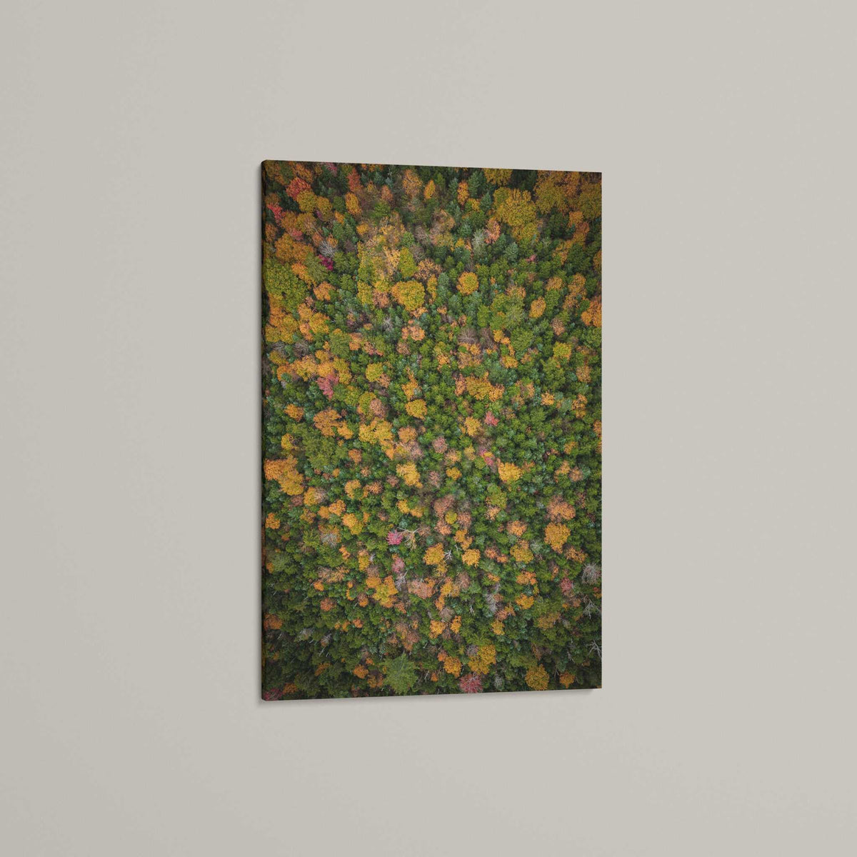 New Hampshire Fall Landscape print featuring dense forest canopy in green, gold, orange, and red autumn foliage
