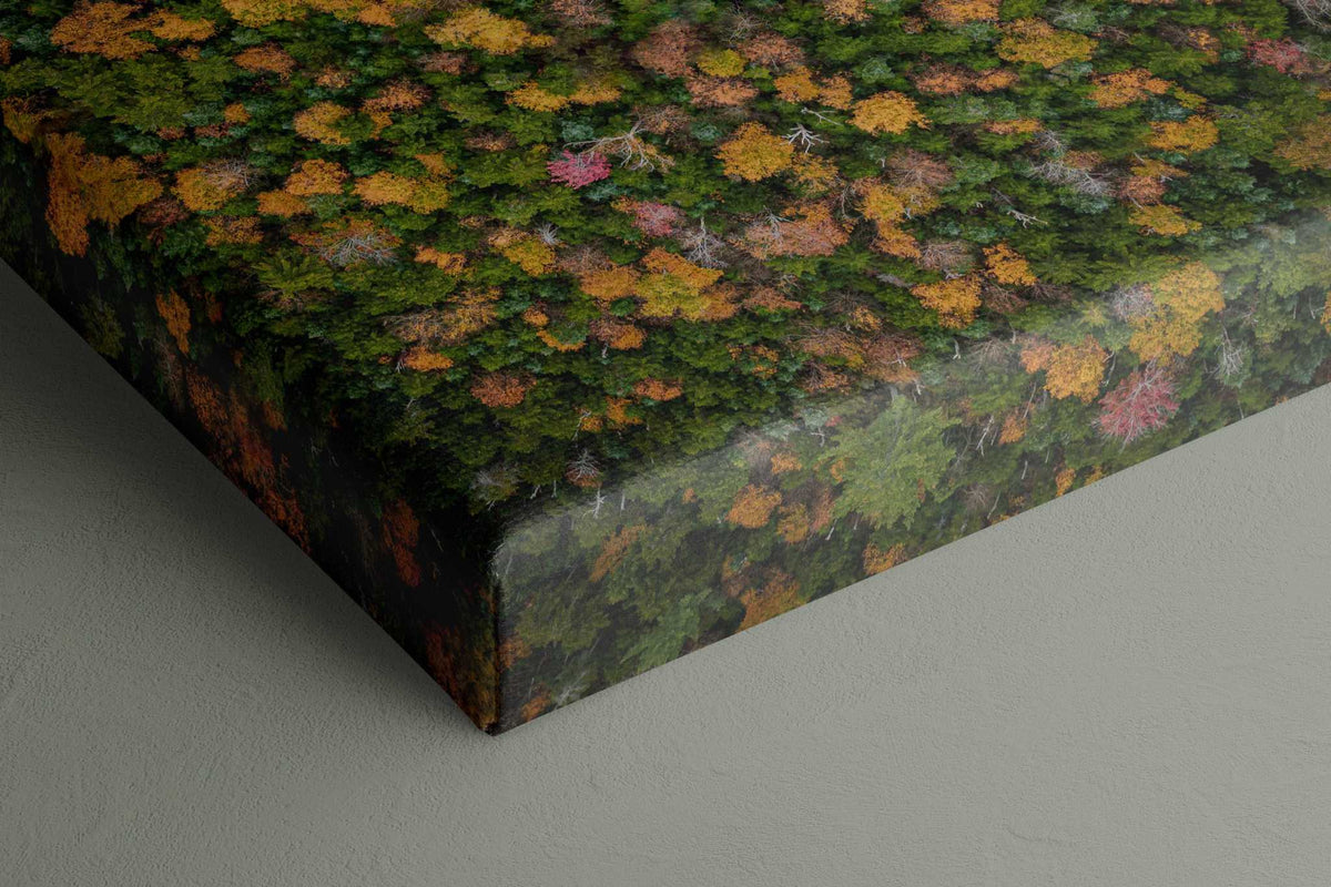 Canvas print of New Hampshire Fall Landscape, showing an aerial forest canopy in green, orange, and red autumn foliage