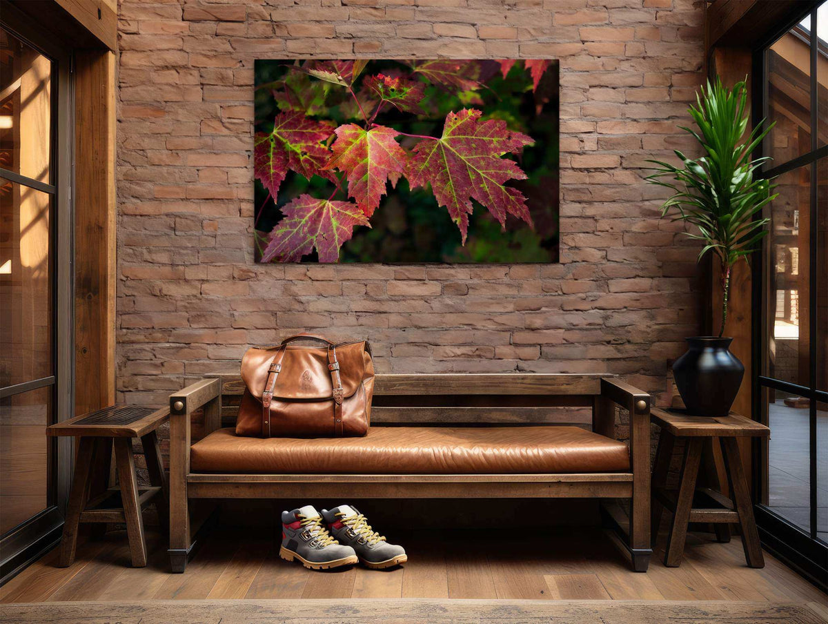 Red Maple Leaf Print showing several red and pink maple leaves with vivid green veins against dark foliage
