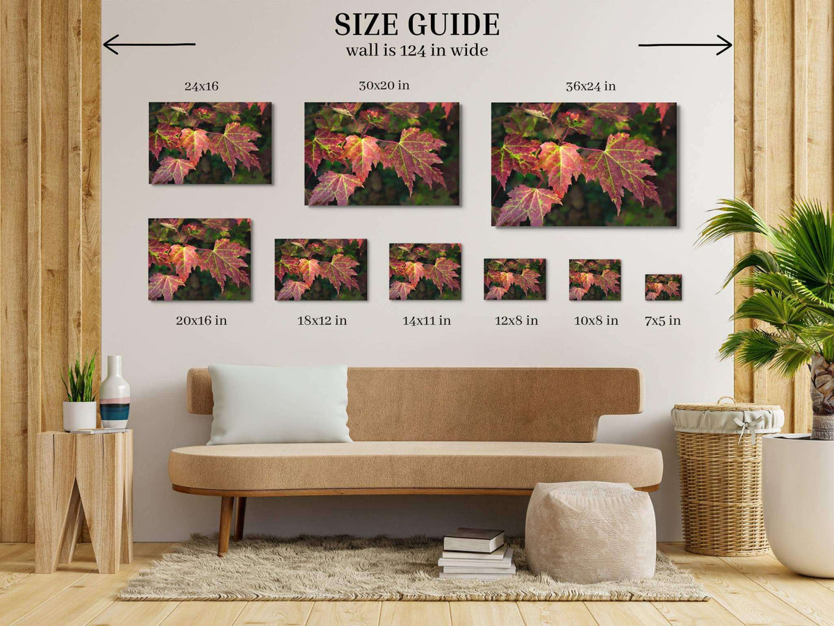 Red Maple Leaf Print showing vivid red and green maple foliage in multiple print sizes arranged on a wall size guide