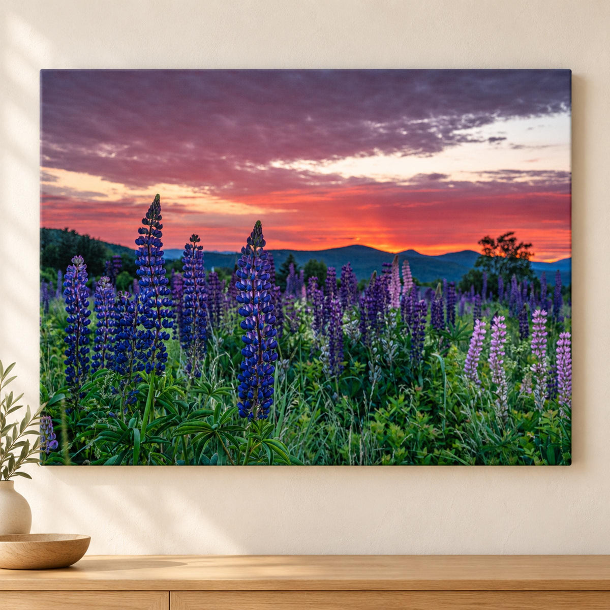 Sugar Hill Lupine Sunrise photography print with purple and pink lupines beneath a vivid orange and rose sky