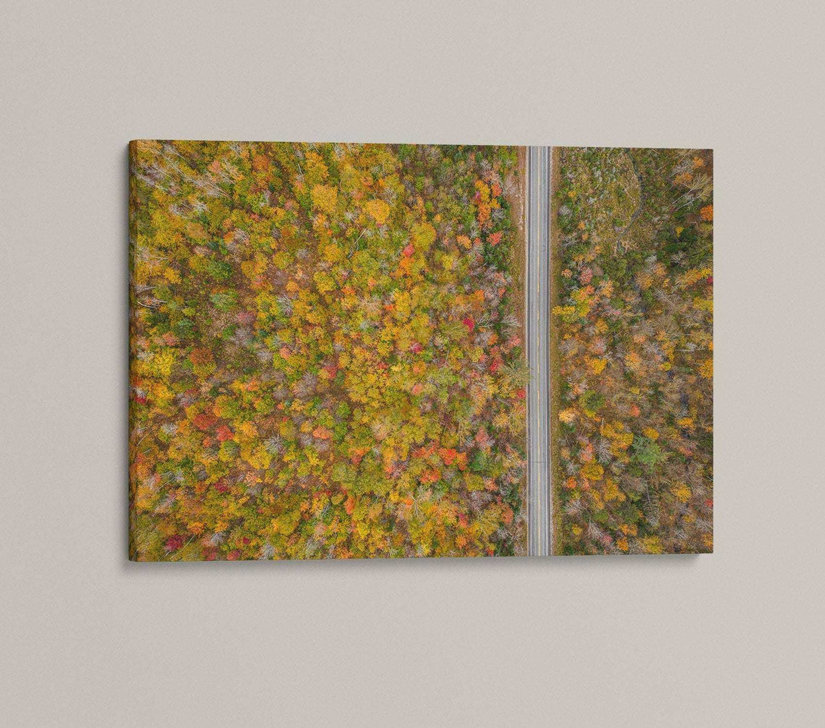 White Mountains Fall Print showing an aerial forest canopy in orange, gold, red, and green autumn colors with a narrow road