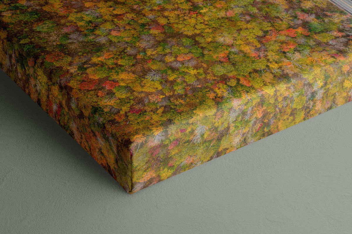 White Mountains Fall Print canvas featuring a dense aerial forest in autumn reds, golds and greens, with wrapped edges