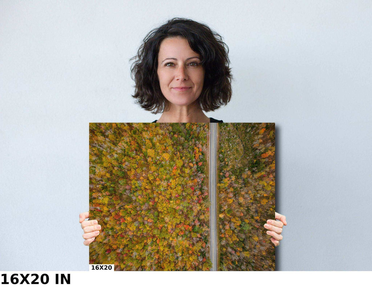 White Mountains Fall Print showing dense autumn forest foliage in green, orange, yellow, and red around a straight road