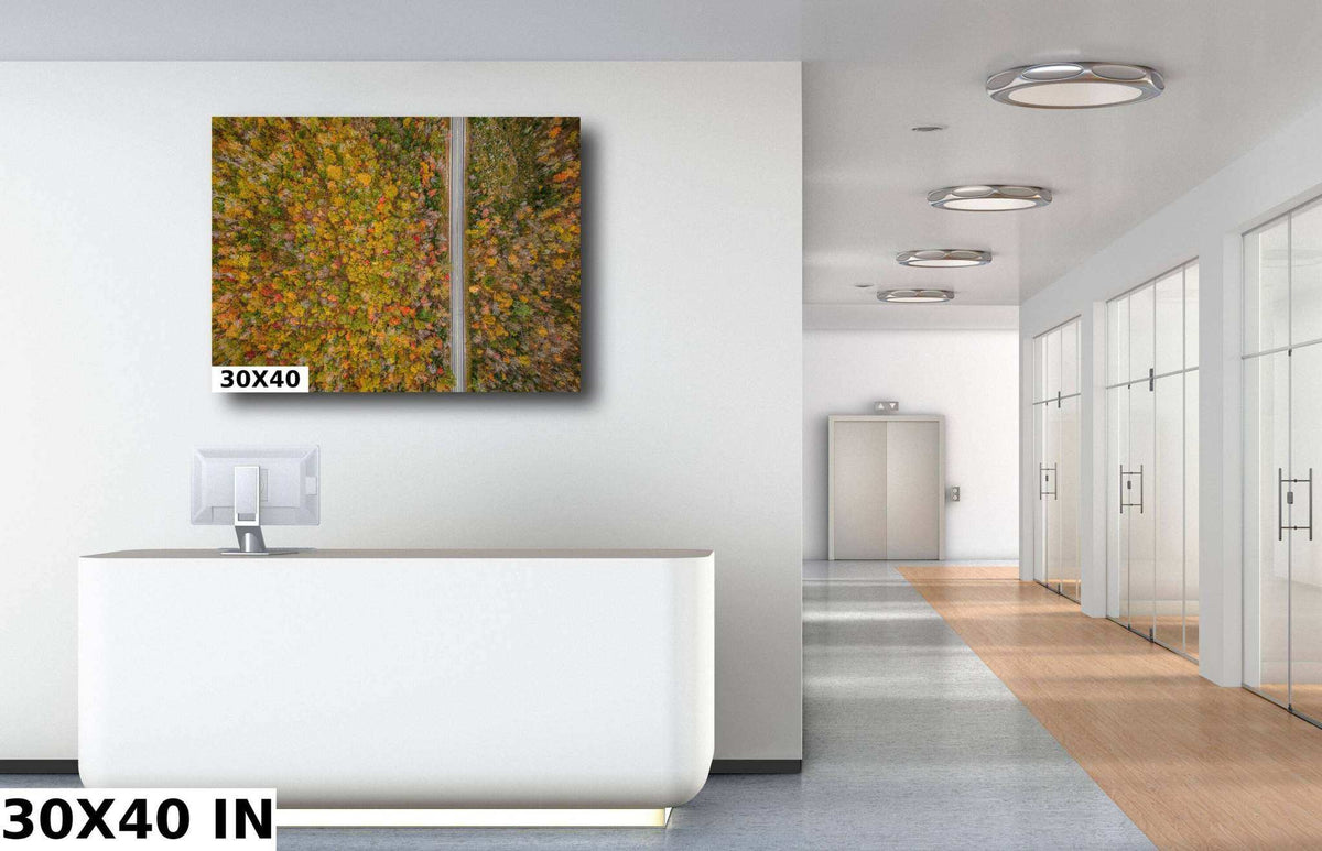 White Mountains Fall Print wall art showing dense autumn treetops in orange, yellow, and green across two panels