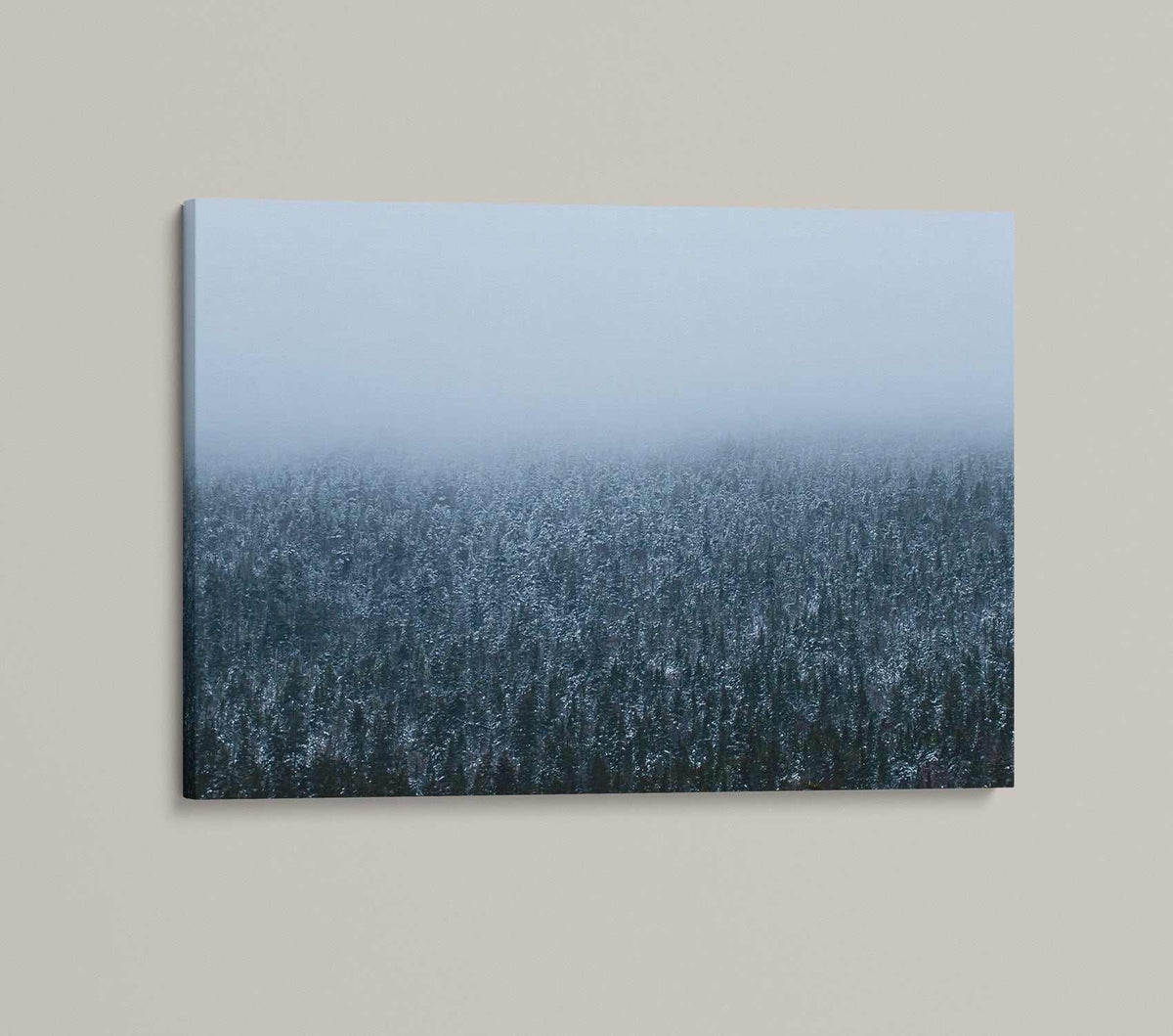 Winter Forest Wall Art print with dark snow-dusted evergreen trees fading into pale blue mountain fog