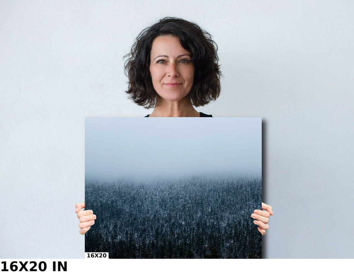 Winter Forest Wall Art print with a cool blue-gray photograph of dense snowy evergreens fading into mountain fog