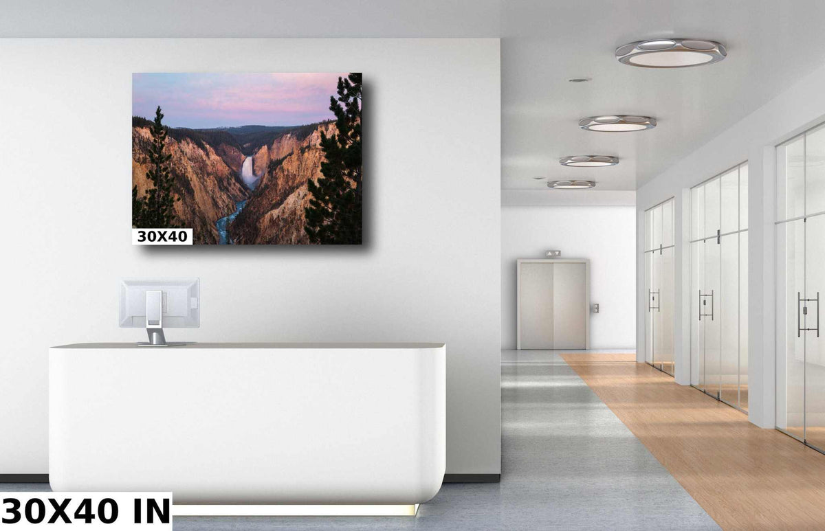 Yellowstone Lower Falls Print of a canyon waterfall, showing forested cliffs beneath a pink and blue sky