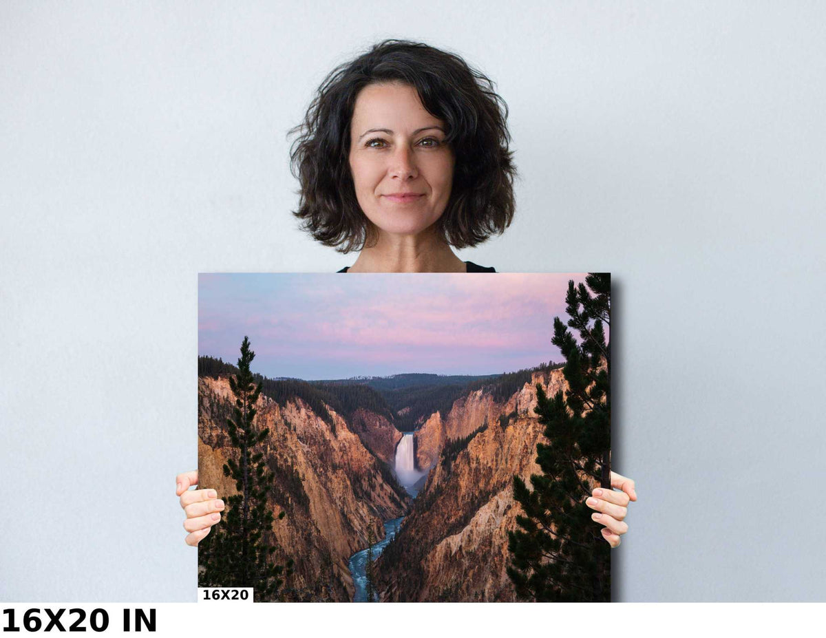 Yellowstone Lower Falls Print shows a waterfall in a deep rocky canyon beneath a pink sunrise sky, framed by evergreen trees