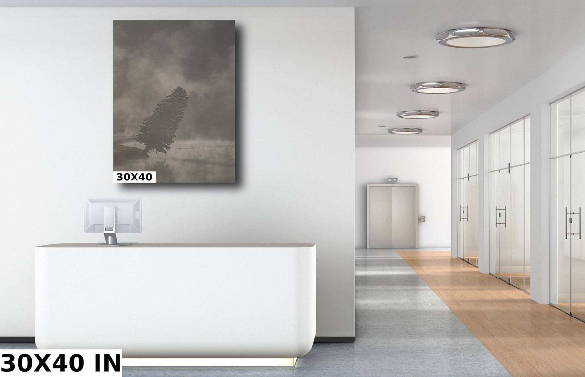 Yellowstone National Park Print featuring a dark, leaning tree in a muted gray foggy landscape, shown on a wall canvas